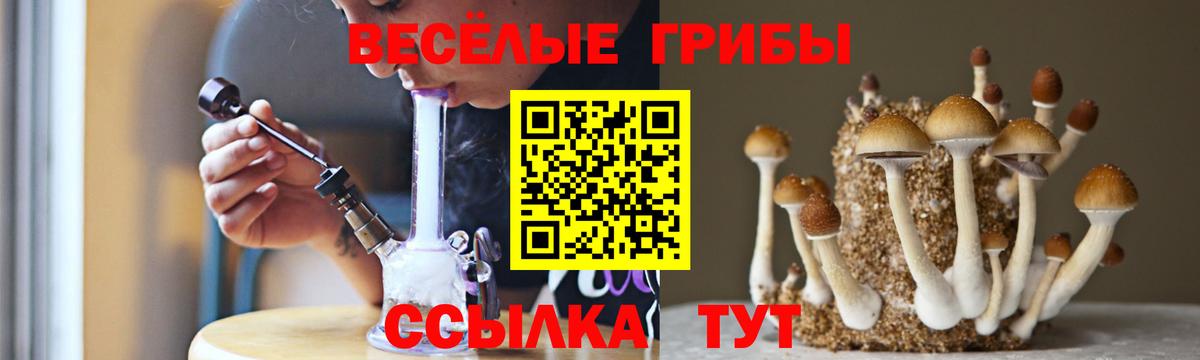 Усть-Джегута  Галлюциногенные грибы Psilocybe  Псилоцибиновые грибы мухоморы  Вход с VPN 